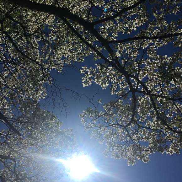 mrnbultena